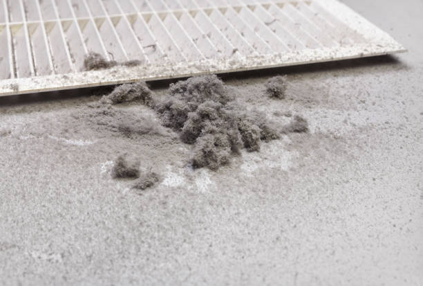 Best HVAC Maintenance and Cleaning  in Eidson Road, TX