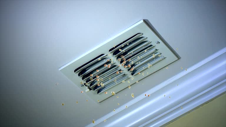 Best Affordable Duct Cleaning Services  in Eidson Road, TX