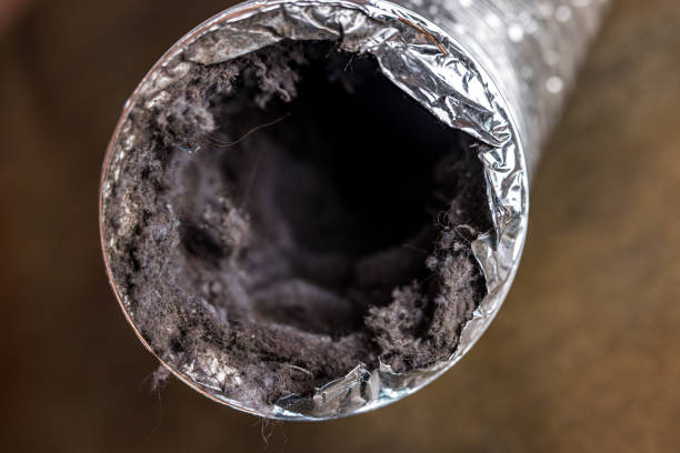Best Professional Duct Cleaning Services  in Eidson Road, TX