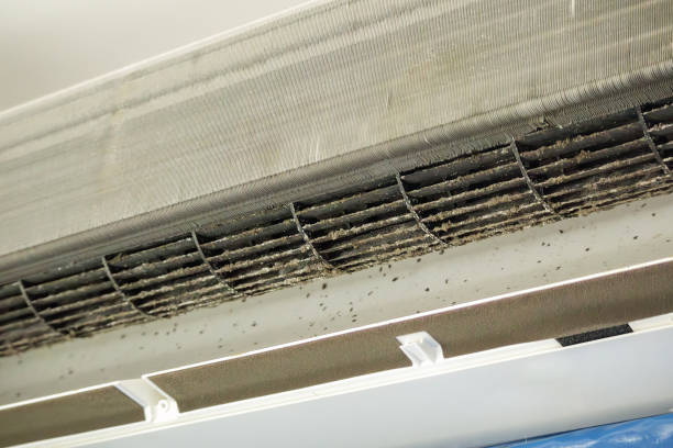 Best Air Duct Cleaning Near Me  in Eidson Road, TX